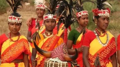 Know about Gond Tribe in India & their history
